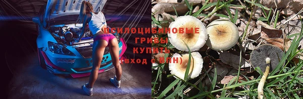 скорость mdpv Каменка