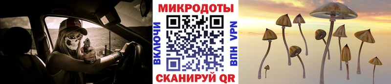Купить  Кимовск  Псилоцибиновые грибы Psilocybine cubensis 