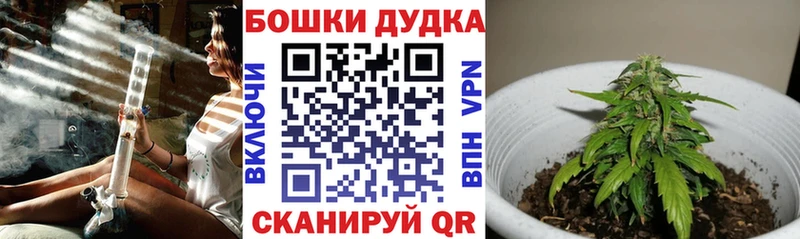 Купить  Кимовск  Канабис план 